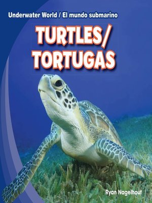 cover image of Turtles / Tortugas